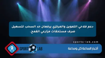 دعم فلاحي التموين والمركزي يرفعان حد السحب لتسهيل صرف مستحقات مزارعي القمح.